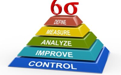 Six Sigma: Entering the Dojo