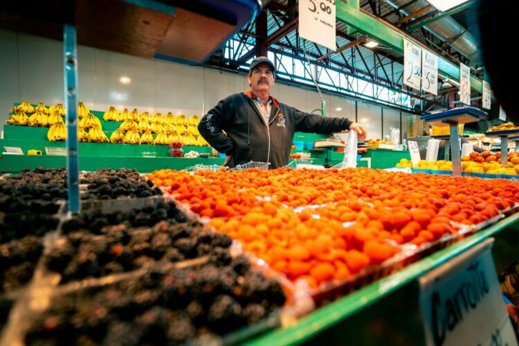 Vendor Management Essentials Vendor Management Essentials